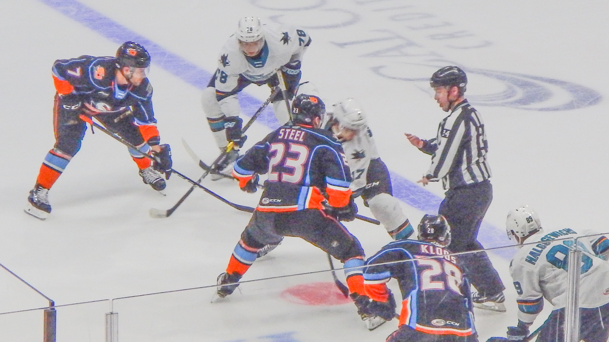 San Diego Gulls