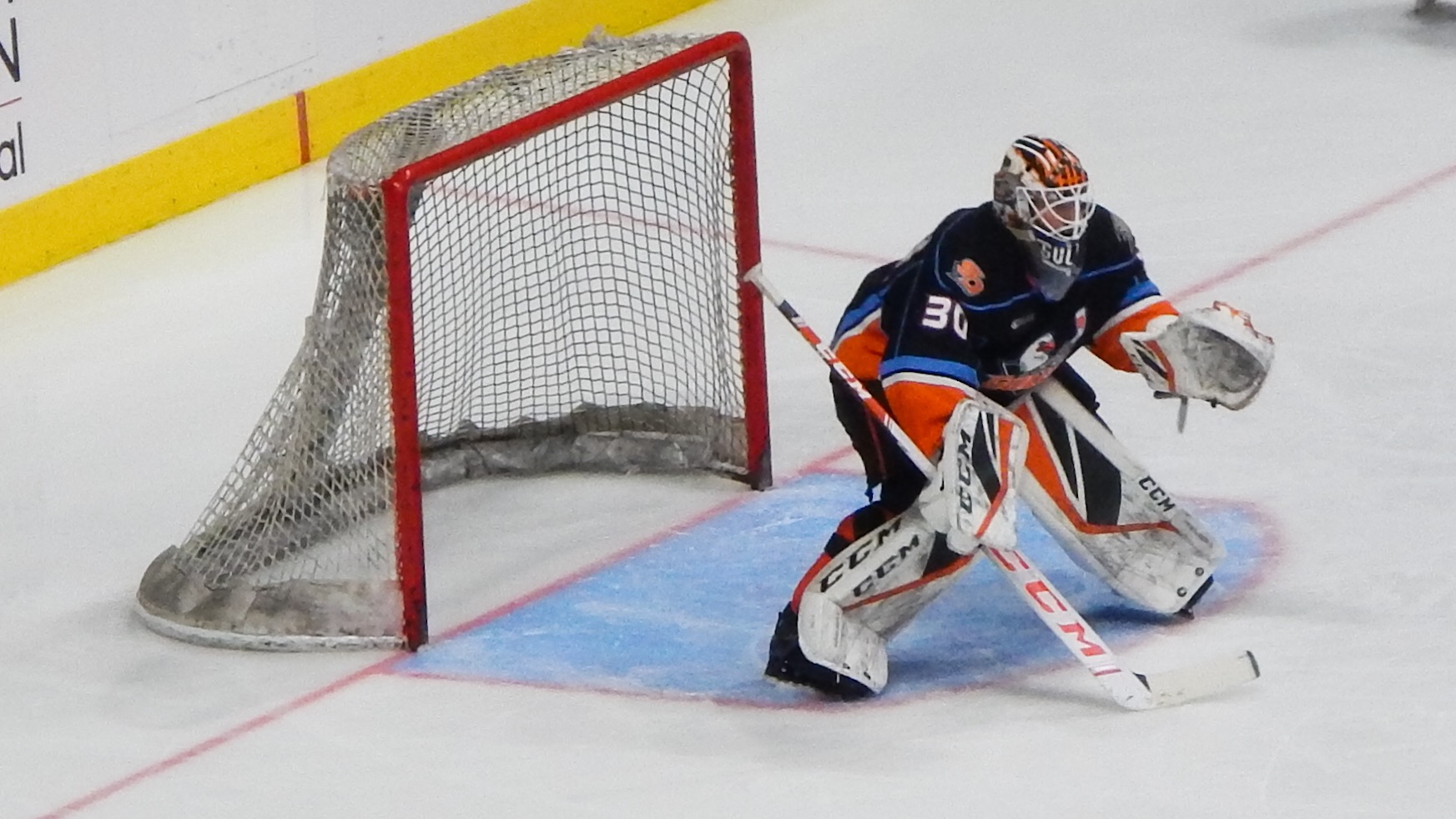 San Diego Gulls