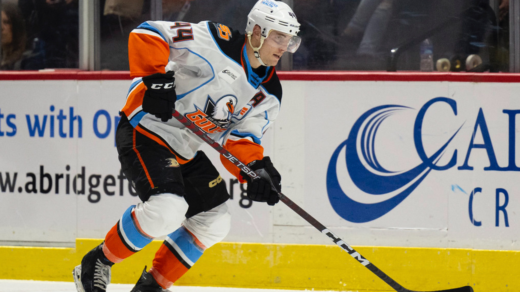 Josh Healey with the puck during the Gulls’ Oct. 26 home game. 