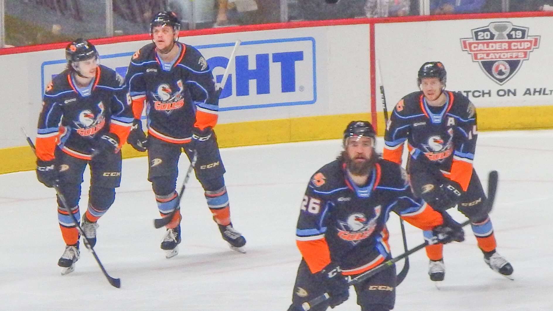 San Diego Gulls