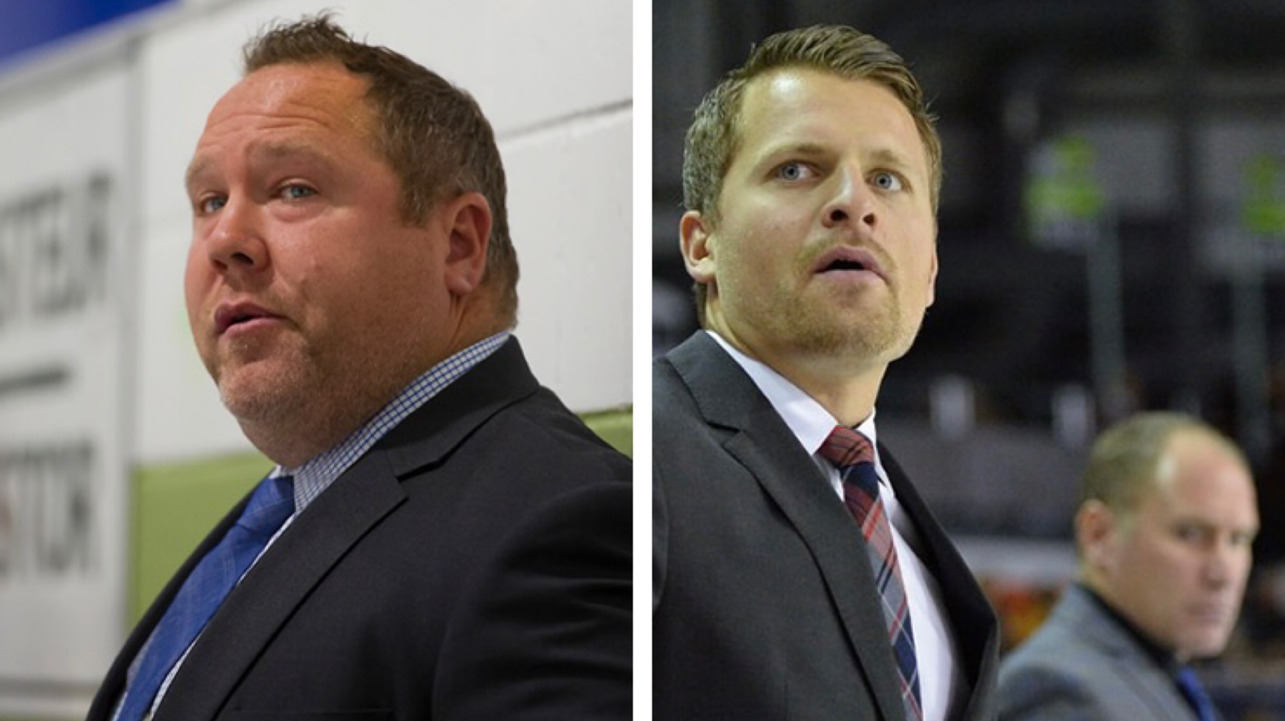 New Gulls’ assistant coaches Jason Clarke and Kris Sparre