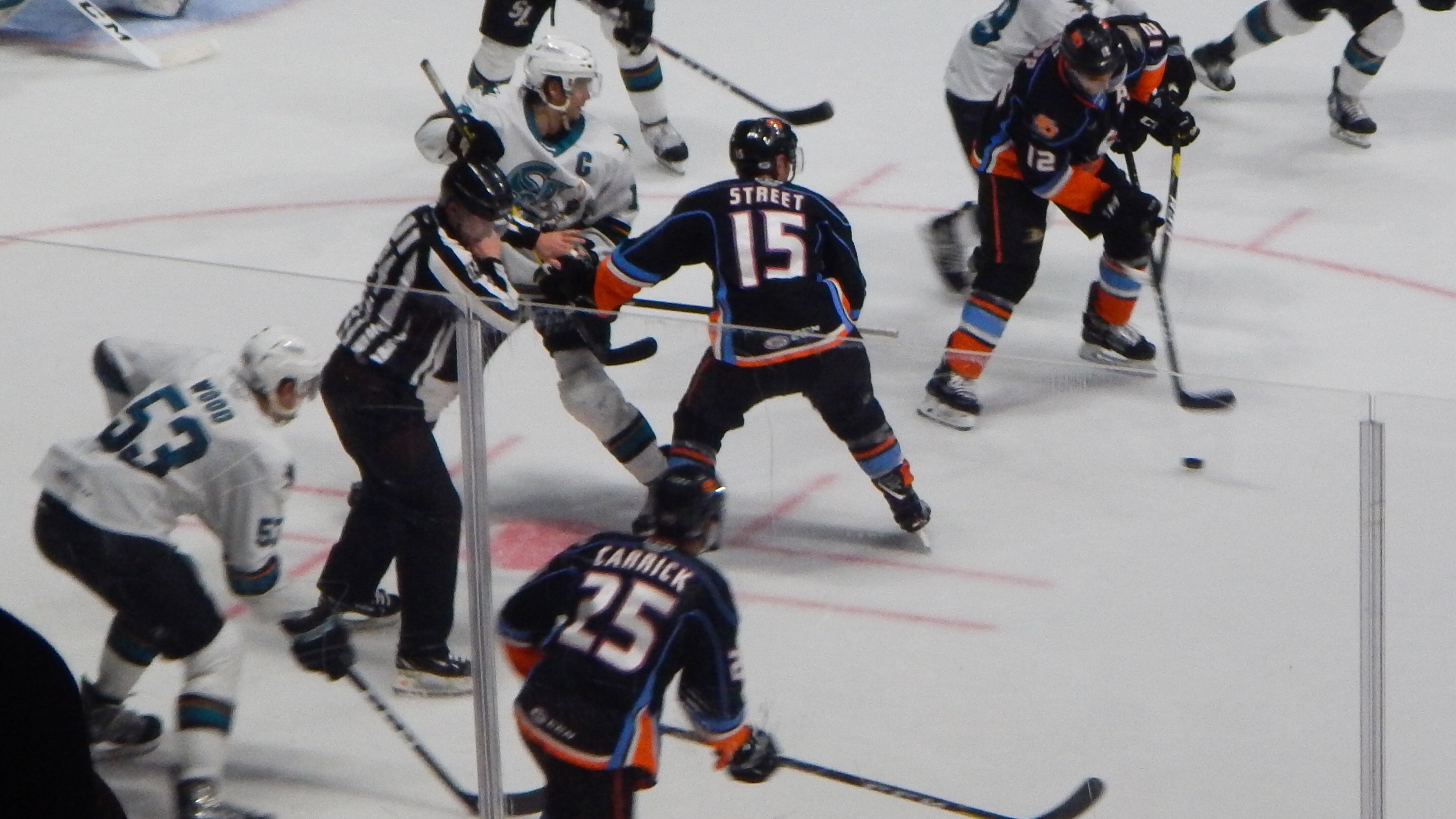 San Diego Gulls